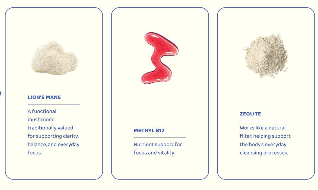 Brain & Body System