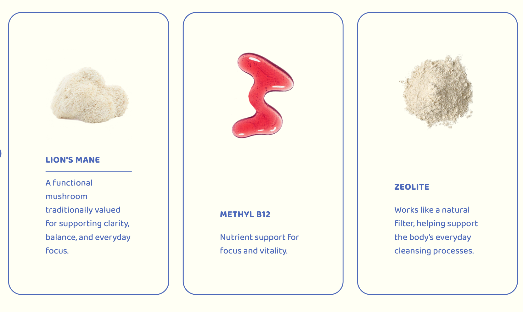 Brain & Body System