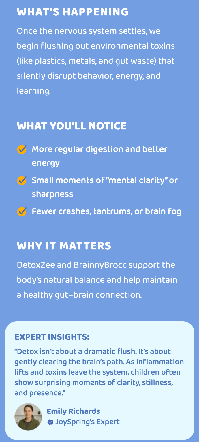 Brain & Body System
